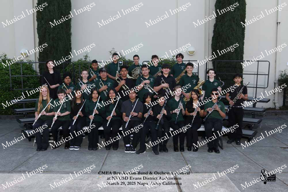 Musical Images